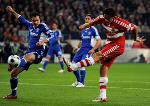 郑钦文能否 郑钦文能否