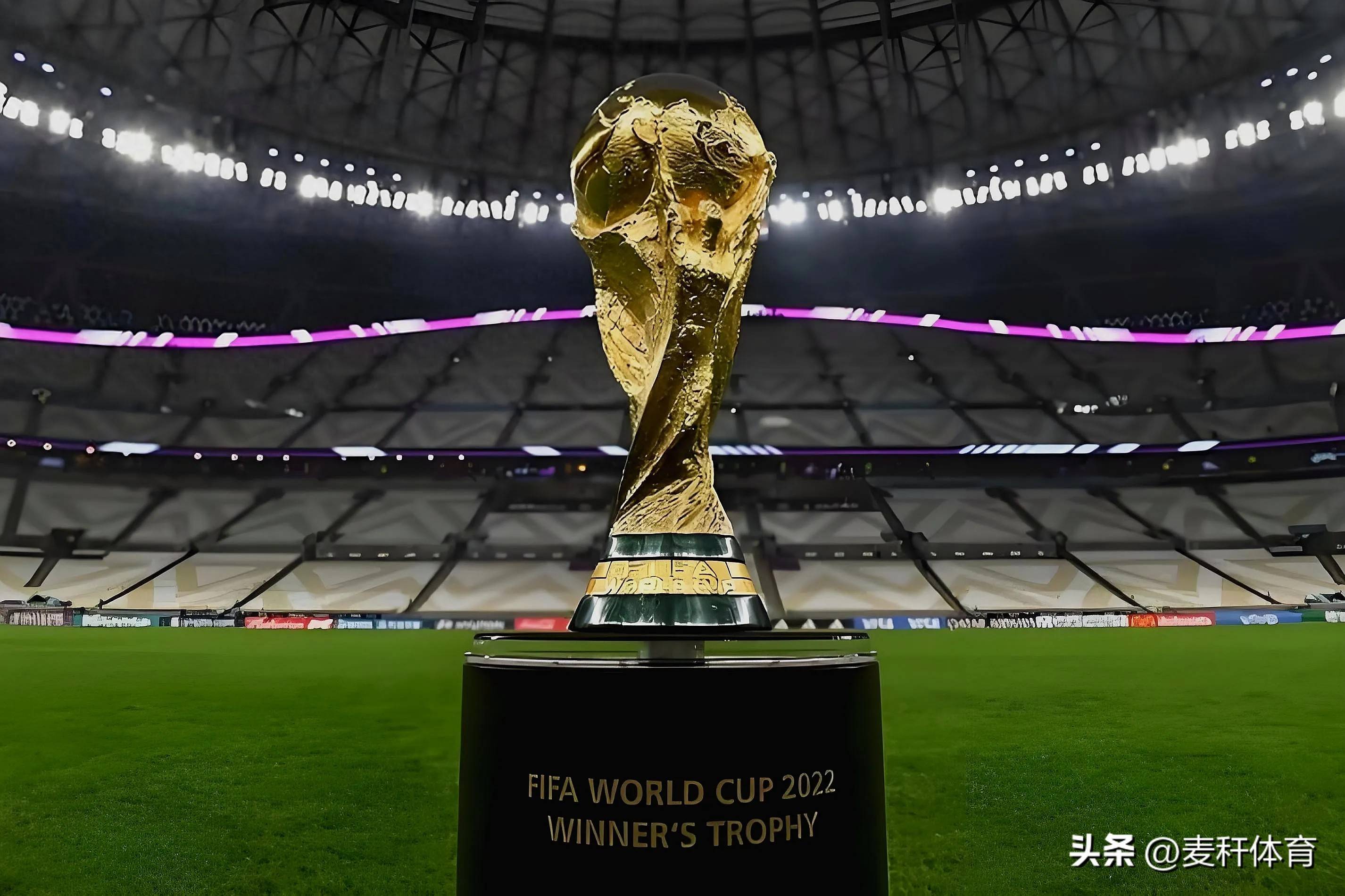 他们的出现 他们的出现