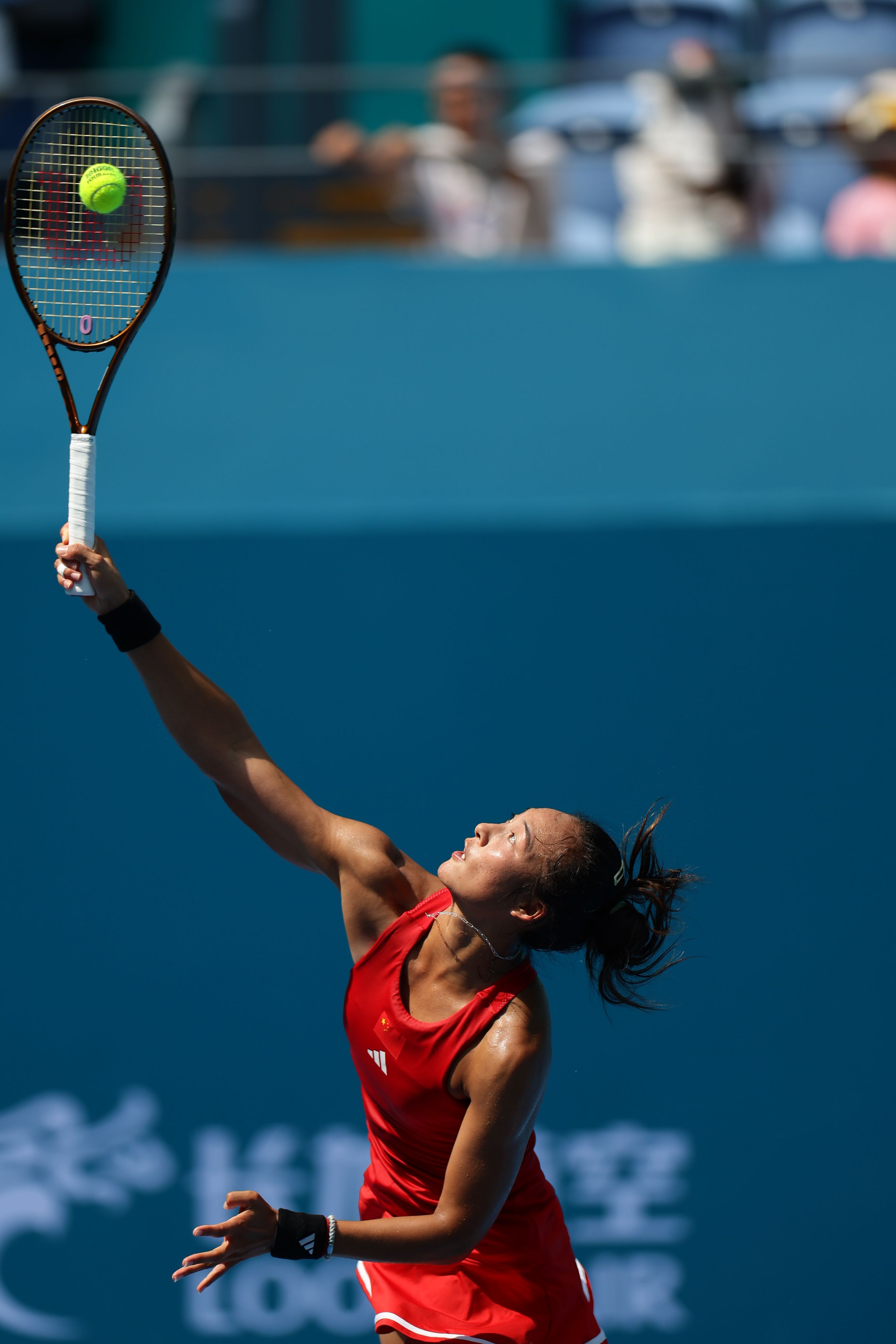 的固有印象 的固有印象